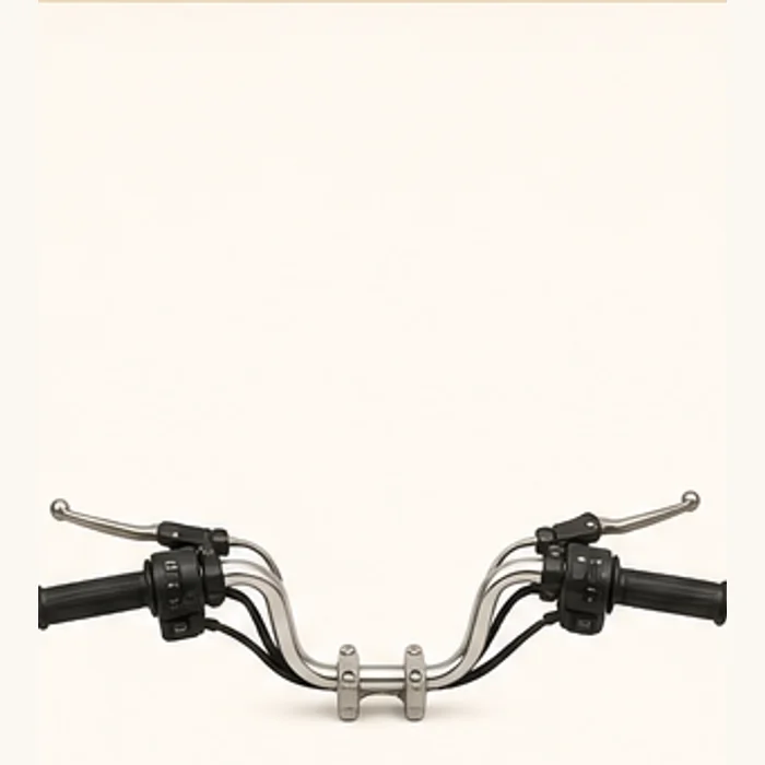Royal Handlebar and Control Levers