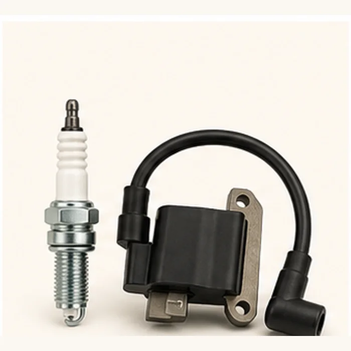 TVS CG125 Spark Plug and Ignition Coil